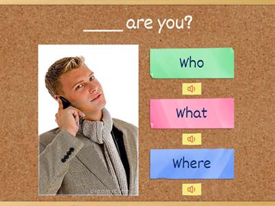 Who / What / When / Where