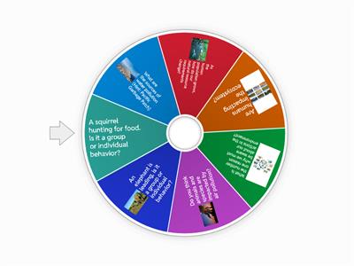 Human Impact and Animal Behavior