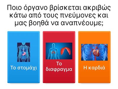 Αναπνευστικό σύστημα 