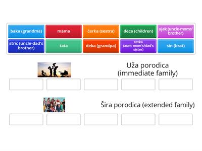 Uža (immediate) / šira (extended) porodica