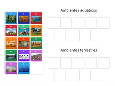 Ambientes terrestres e ambientes aquáticos