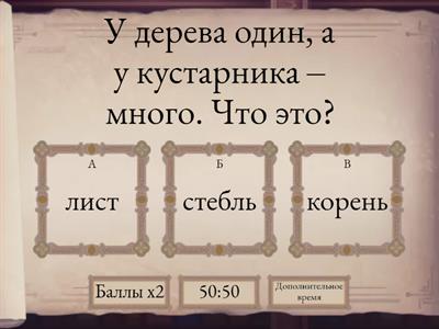  Викторина "Человек и мир"