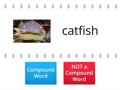 Compound Words