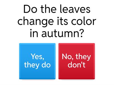 Autumn quiz