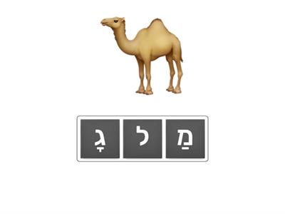 כתיבת מילים קמץ פתח שווא