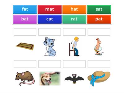 Sort Word Family 'at'