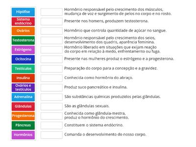 Sistema Endócrino - 5º Ano