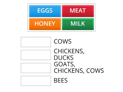 FOOD FROM ANIMALS