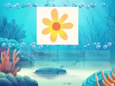 001_Plants_Parts of plants