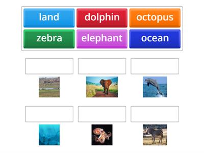wild animals primary path U5