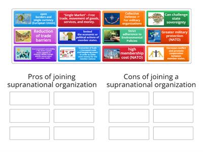 Supranational Organization Pros and Cons 