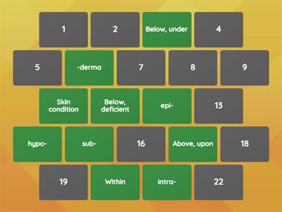 Integumentary System Suffixes and Prefixes