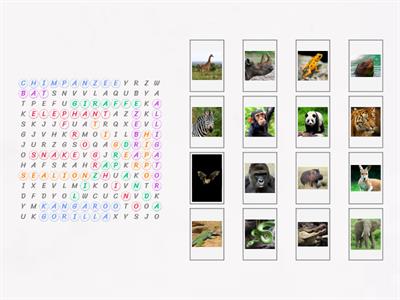 Zoo Animals Word Search