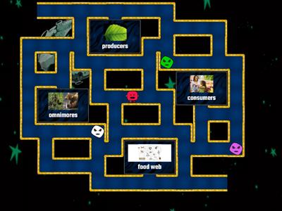 Food Chains & Food Webs Vocabulary