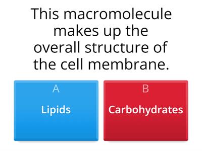 Macromolecules