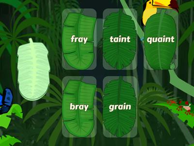 Vowel Digraphs ai and ay