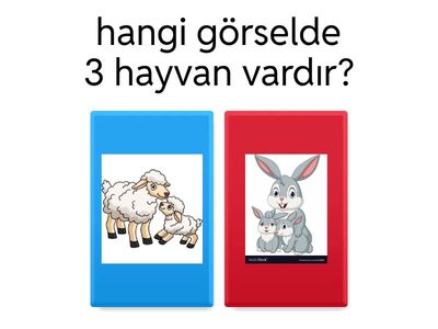 3 kavramı test 