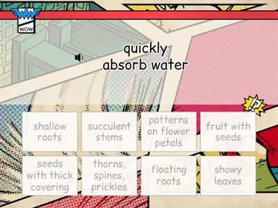B Structures and Functions of Plants 