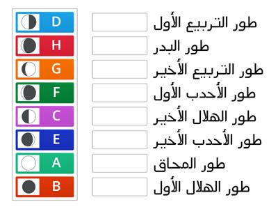 حددي الجزء الي يؤكل من كل نبات من التالي