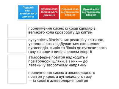 Етапи дихання