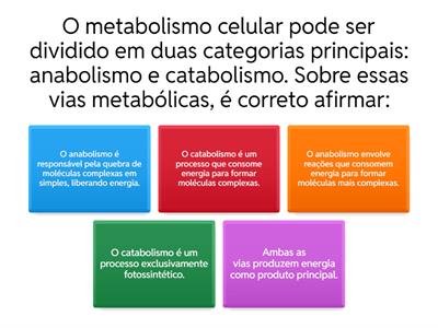 Atividade Biologia N3