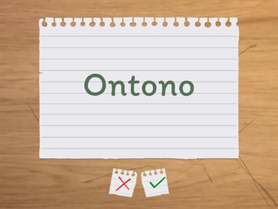 Spanish Test Practice