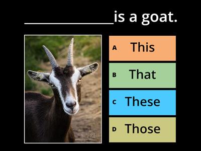 This - That - These - Those