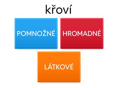 PODSTATNÁ JMÉNA (hromadná, pomnožná, látková)