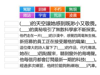 113-1康G6-L6登月先鋒_選詞填充