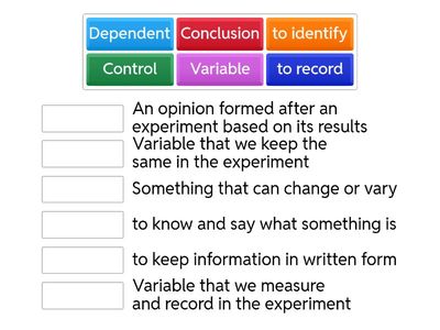 Investigation vocabulary
