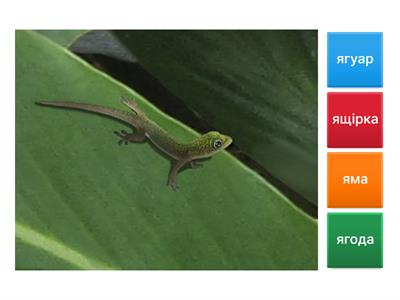 Поєднай малюнок та слово