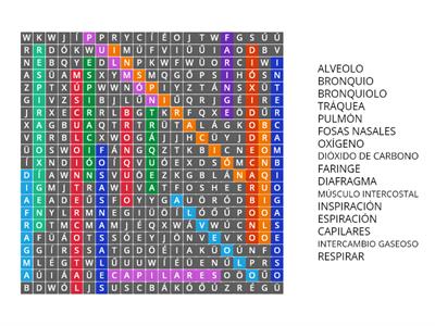 Sistema Respiratorio (Sopa de letras)