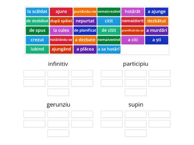 Forme verbale nepersonale clasa 7