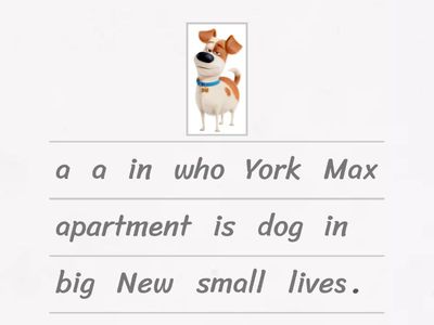 AM / IS / ARE PRACTICE – THE SECRET LIFE OF PETS