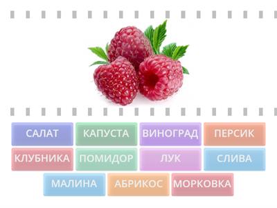 12. Е: ФРУКТЫ И ОВОЩИ