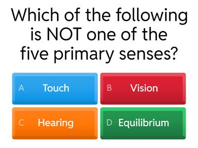 The Senses A&P Practice Quiz