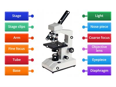 Microscope Labeling