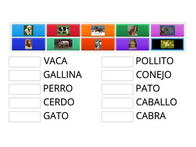 Los animales DE LA GRANJA