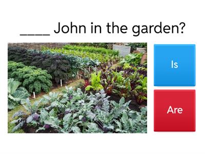 Yes-No questions excercises