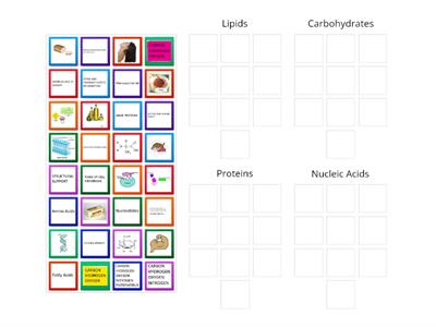 Biomolecules