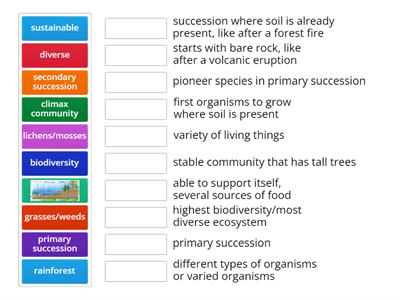 Biodiversity and Succession