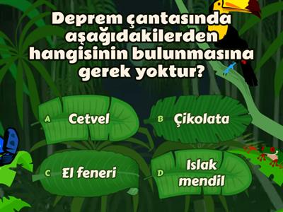 4. Sınıf Sosyal Bilgiler Yaşadığımız Yer Test