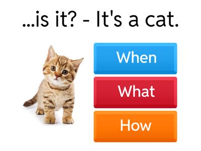 Who, when, what, where, how