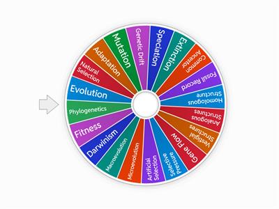 Evolution