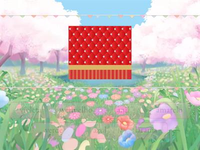 cores do arco iris-SRM