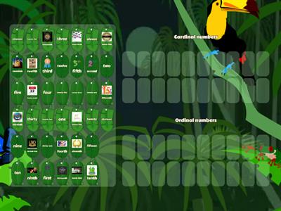 Ordinal/Cardinal numbers