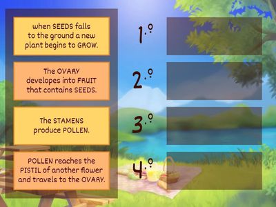 LIFE CYCLE OF FLOWERING PLANTS
