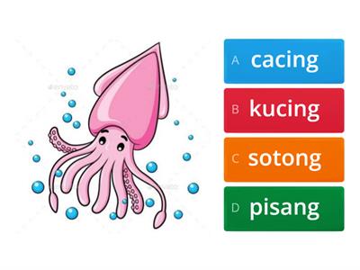 12. Perkataan KV+KVKK