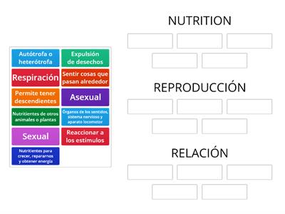 FUNCIONES VITALES