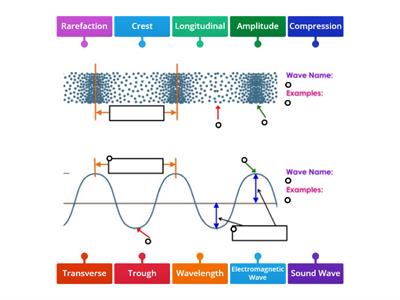 leaving cert physics Waves Labeling 